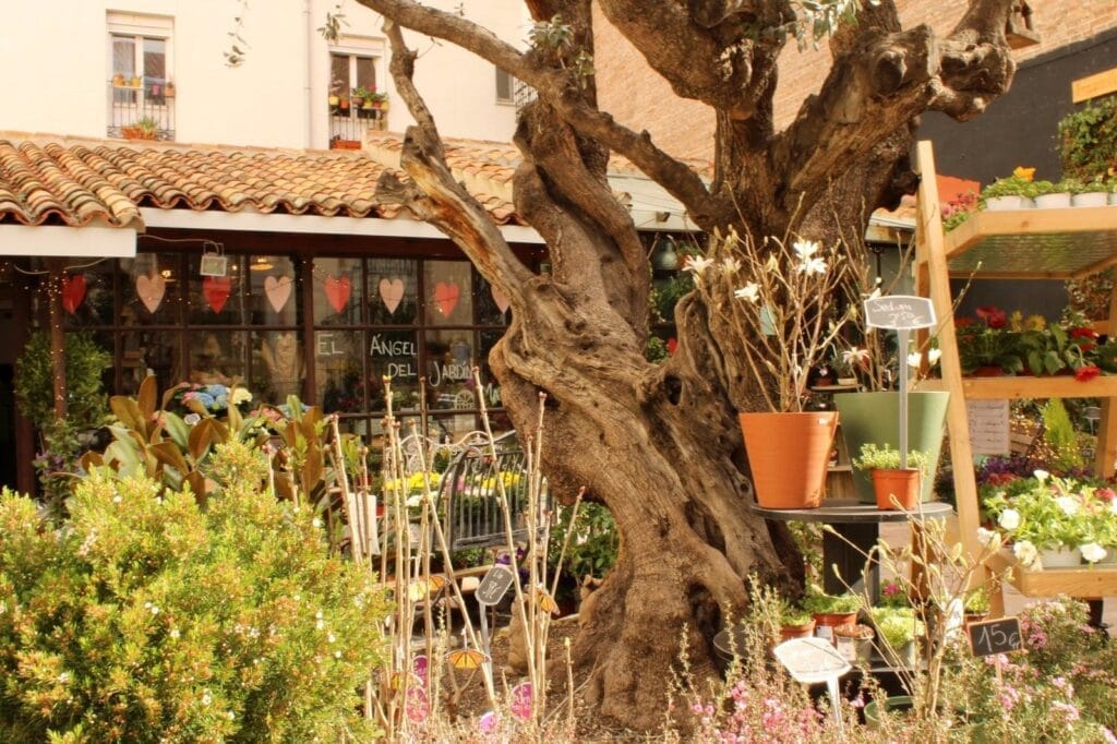 El Ángel del Jardín | Las floristerías con más encanto de Madrid