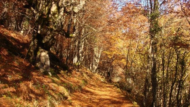 Rutas de senderismo para empezar el otoño en Madrid