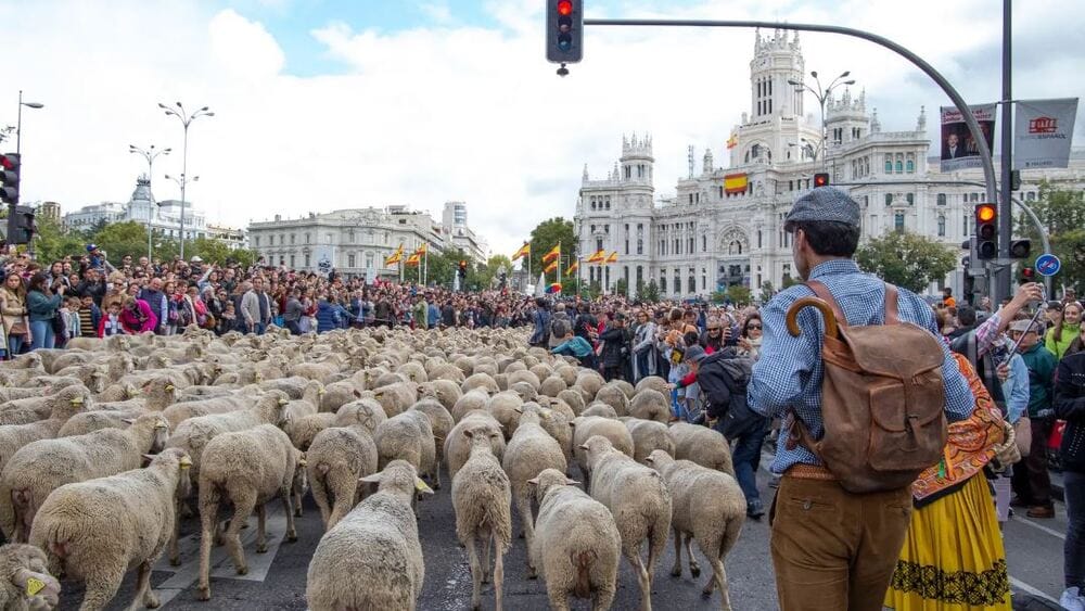 Fiesta de la trashumancia Madrid 2024