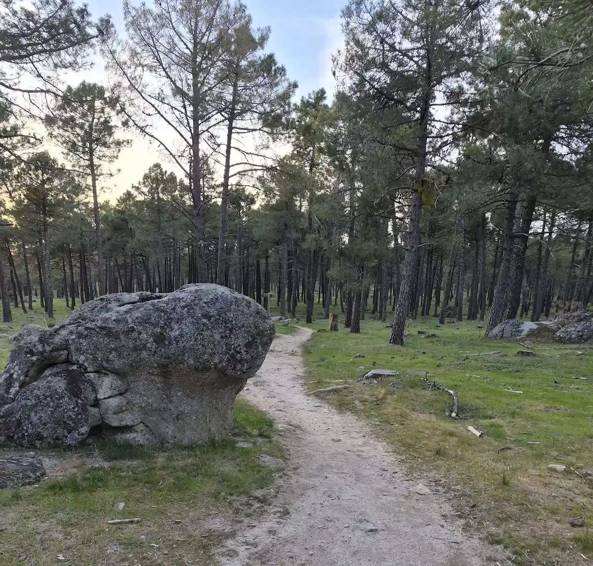 Las Navas del Marqués