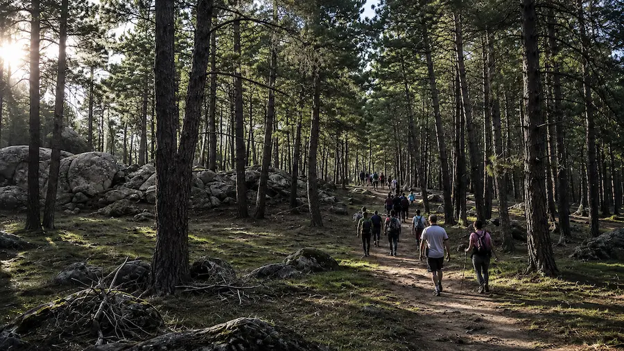 Las Navas del Marqués paseo por la Naturaleza